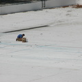 Astoria Pool Guy