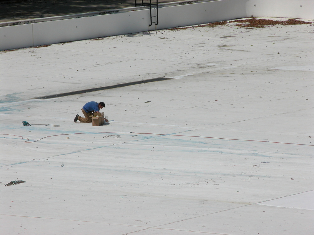 Astoria Pool Guy