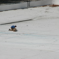 Astoria Pool Guy