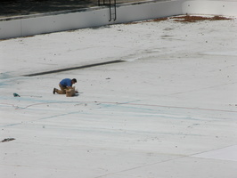 Astoria Pool Guy