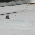 Astoria Pool Guy