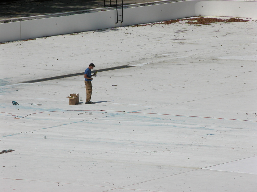 Astoria Pool Guy