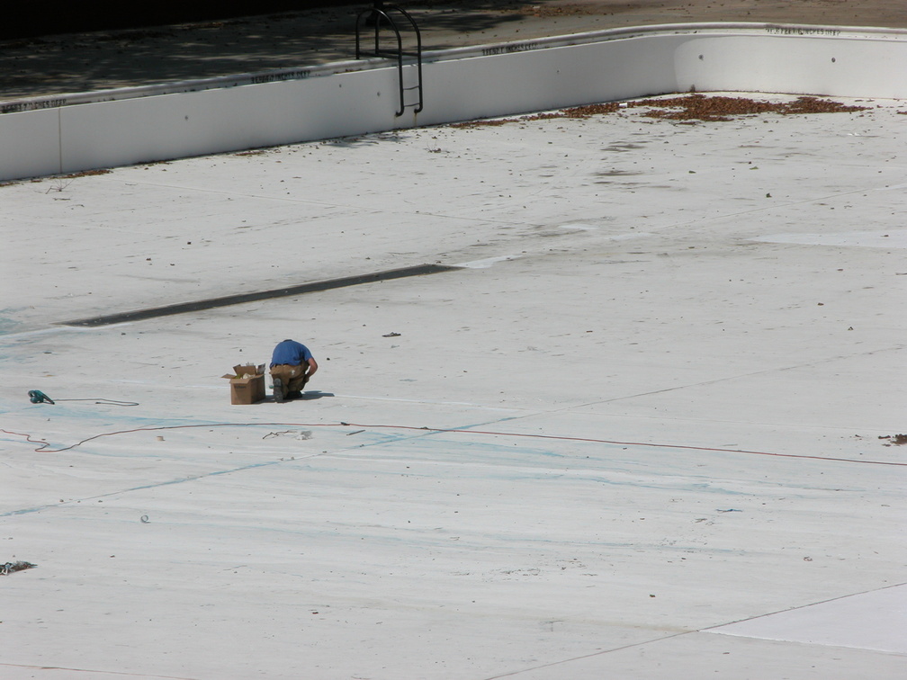 Astoria Pool Guy