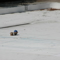 Astoria Pool Guy