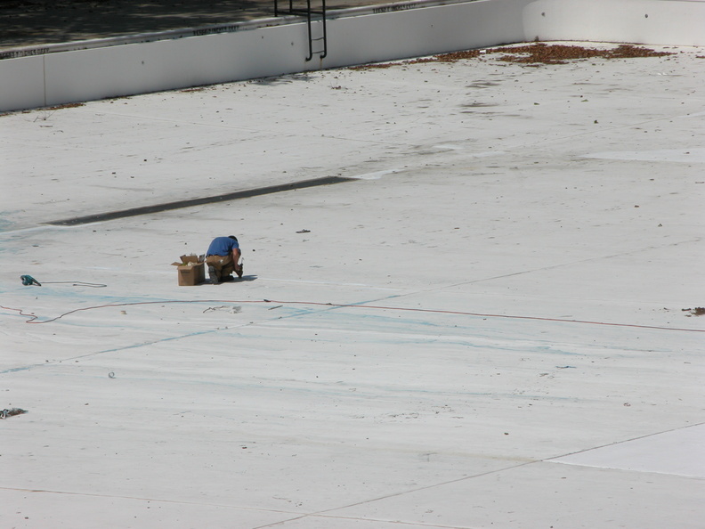 Astoria Pool Guy