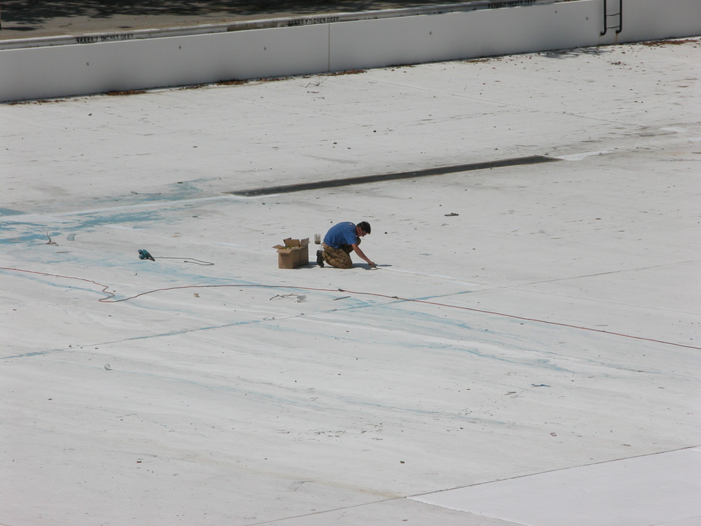 Astoria Pool Guy