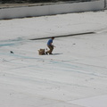 Astoria Pool Guy