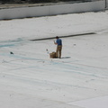 Astoria Pool Guy