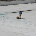 Astoria Pool Guy