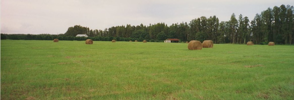 End of Town.