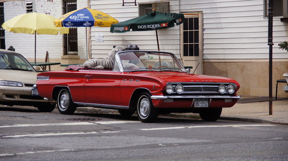 Buick in L.I.C., With a Stuffed Tiger, Of Course