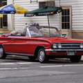 Buick in L.I.C., With a Stuffed Tiger, Of Course