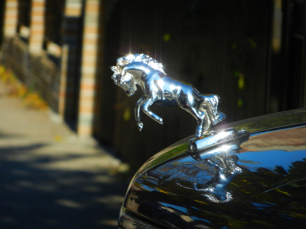 Hood Ornament