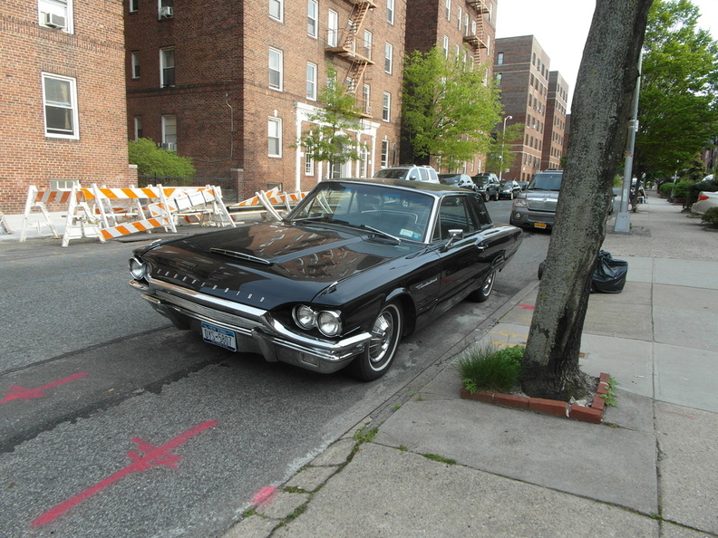 Thunderbird in Sunnyside