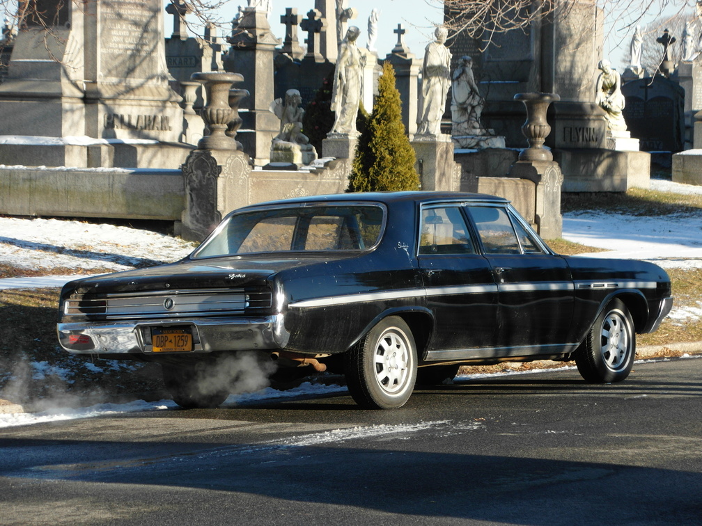 Skylark at the cemetery