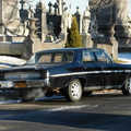 Skylark at the cemetery