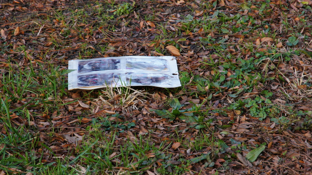 Discarded Photographs of a Family