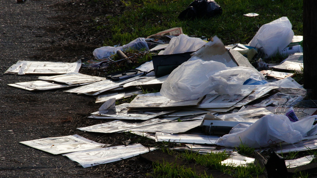 Discarded Photographs of a Family