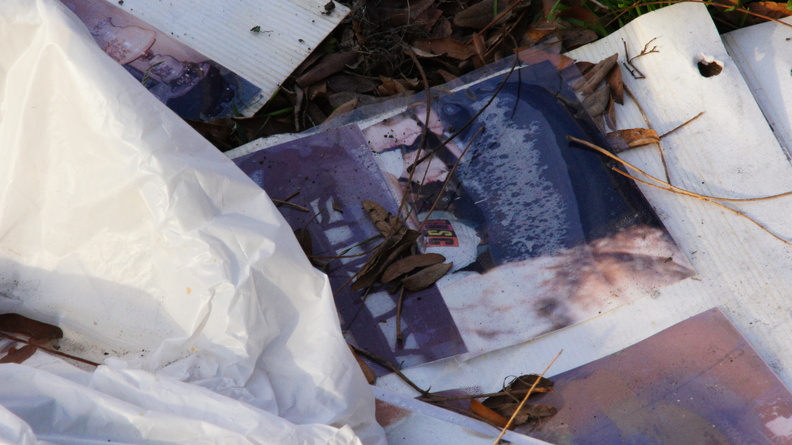 Discarded Photographs of a Family