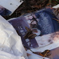 Discarded Photographs of a Family