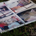 Discarded Photographs of a Family