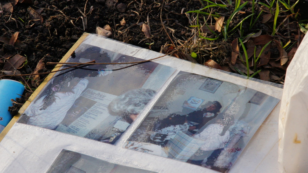 Discarded Photographs of a Family