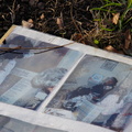 Discarded Photographs of a Family