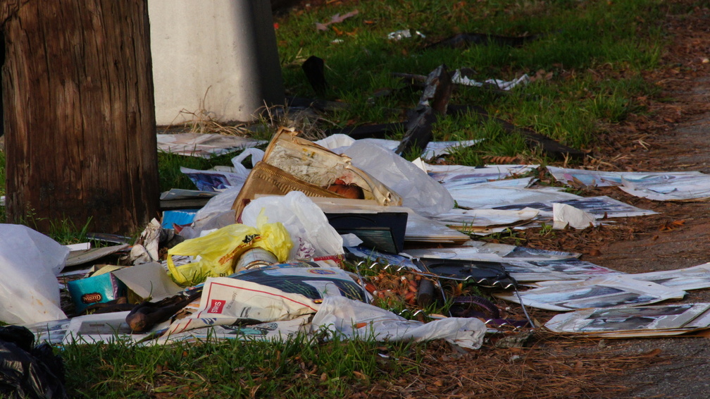 Discarded Photographs of a Family