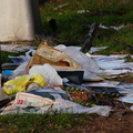 Discarded Photographs of a Family