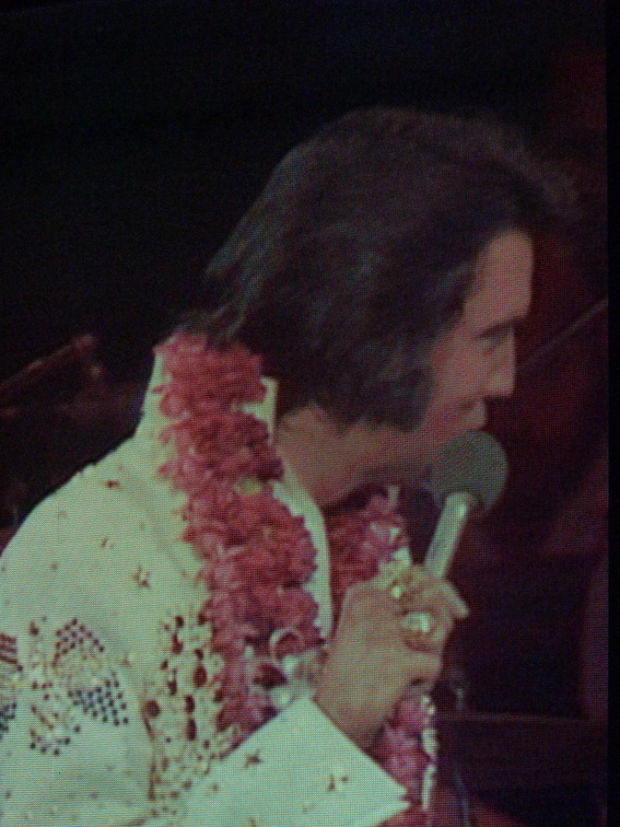 Elvis Presley in Concert