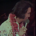 Elvis Presley in Concert