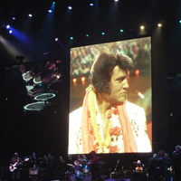 Elvis In Concert, February 15, 2011