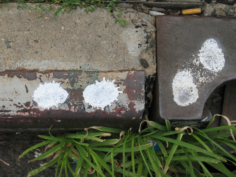 Paint Spots on NYC Sewers