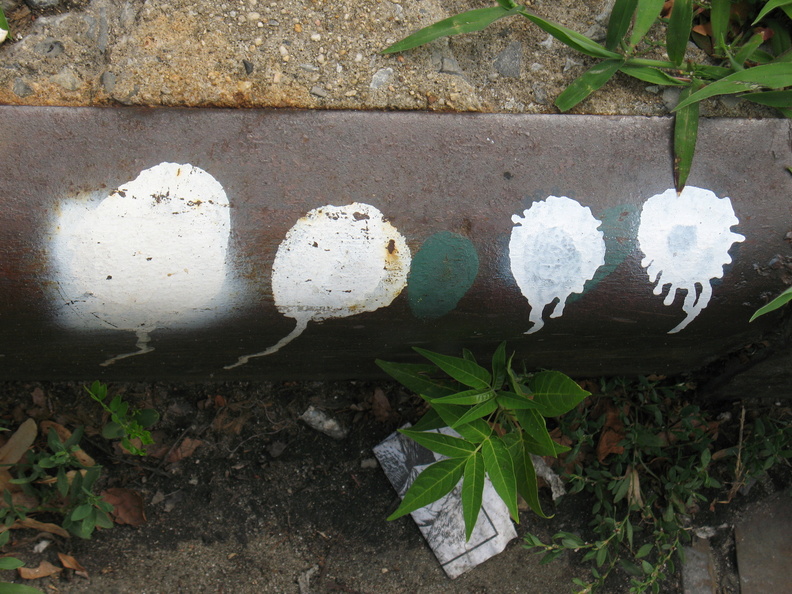 Paint Spots on NYC Sewers