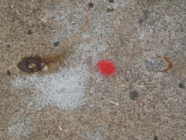 IMG 6388