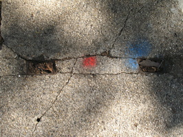IMG 9387