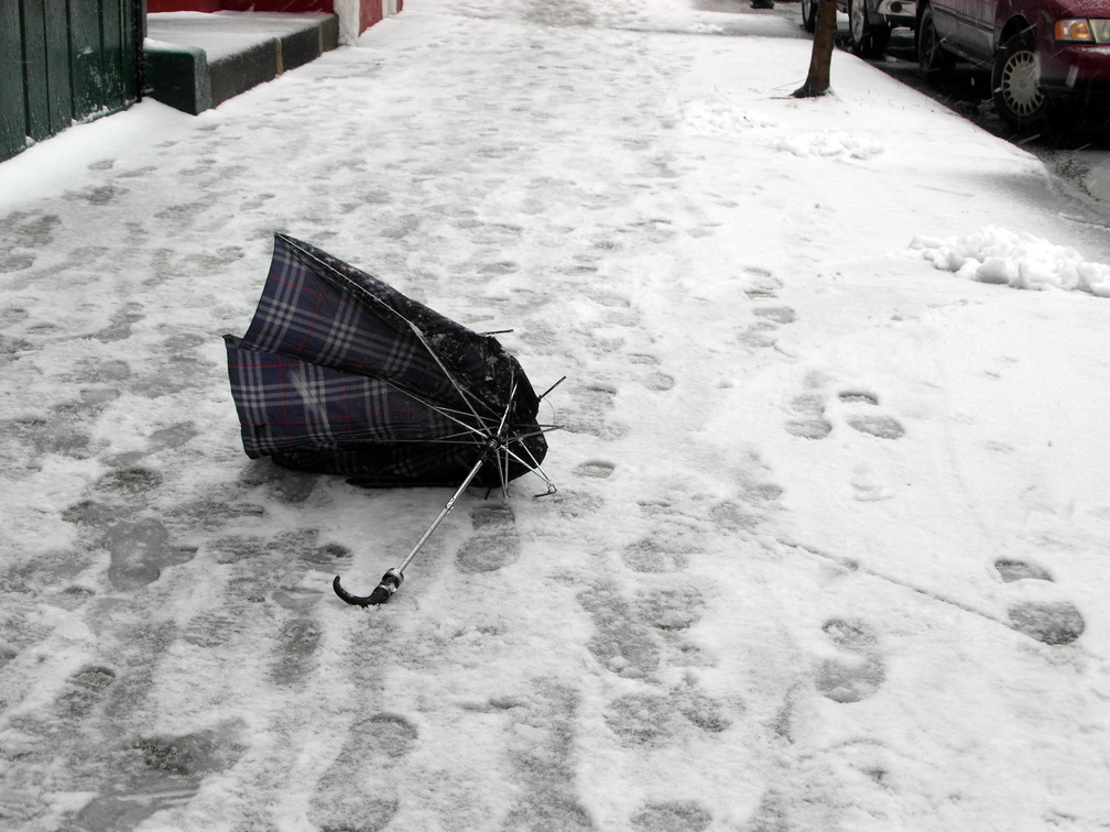 Umbrella Carcass