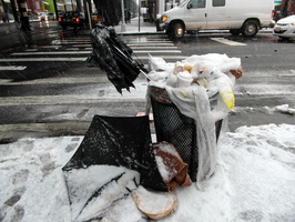 Umbrella Carcass