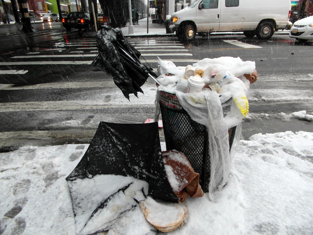 Umbrella Carcass