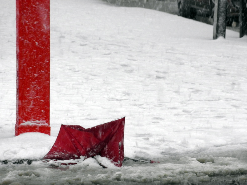 Umbrella Carcass