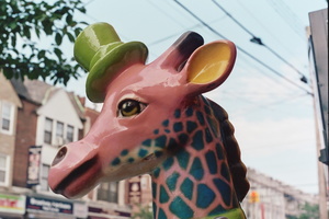 Giraffe