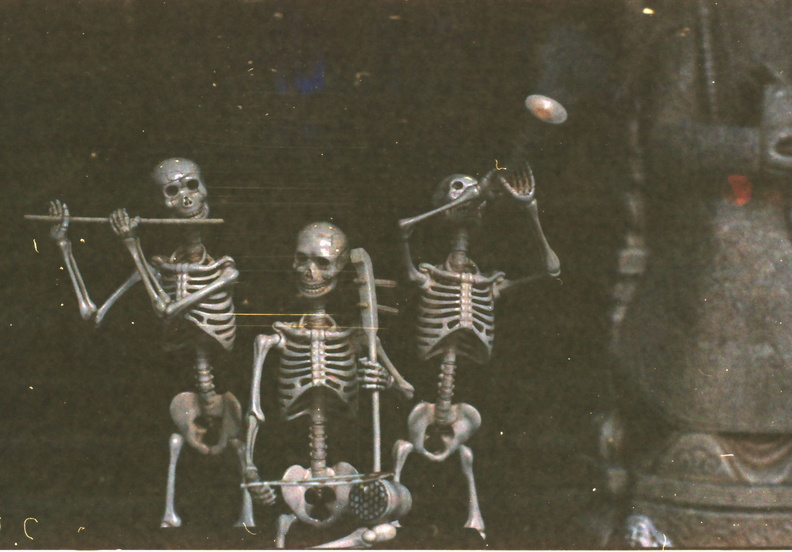 Band of Bones