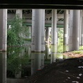 LIE Van Wyck Interchange