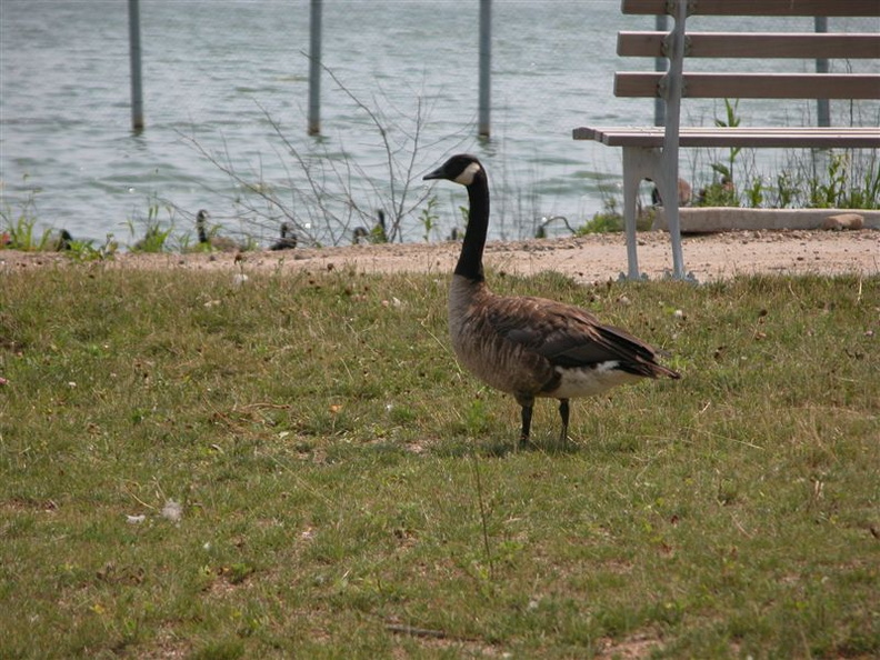 DSCN0128.jpg