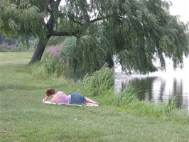 Meadow Lake