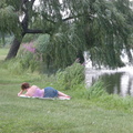 Meadow Lake