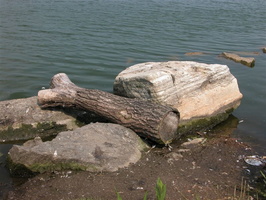 Meadow Lake
