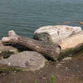 Meadow Lake