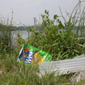 Meadow Lake