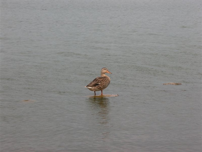 DSCN0280.jpg